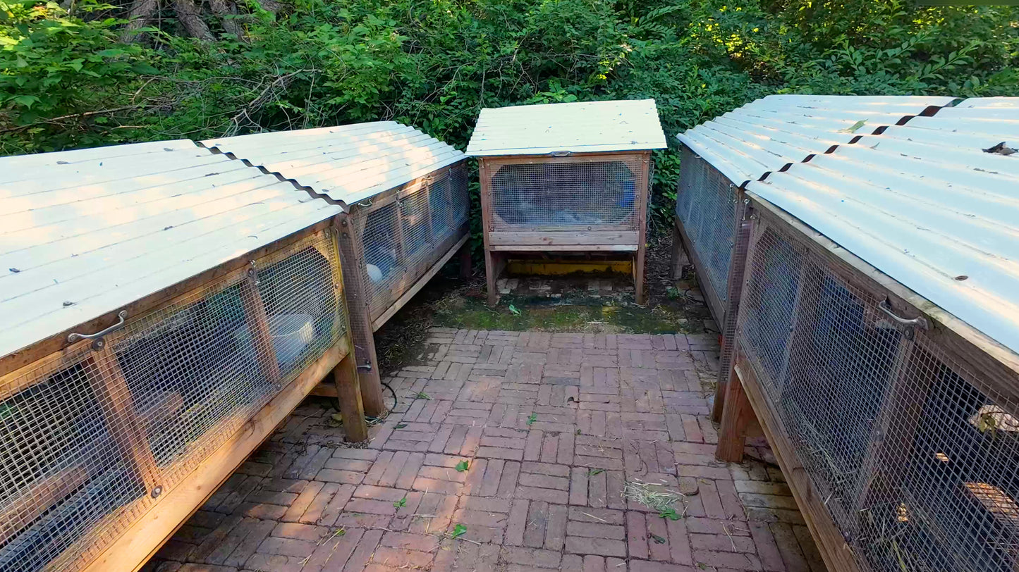 Rabbit Hutch Build Guide