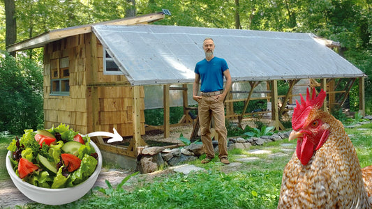 The Wineberry Hill Mega Coop Build